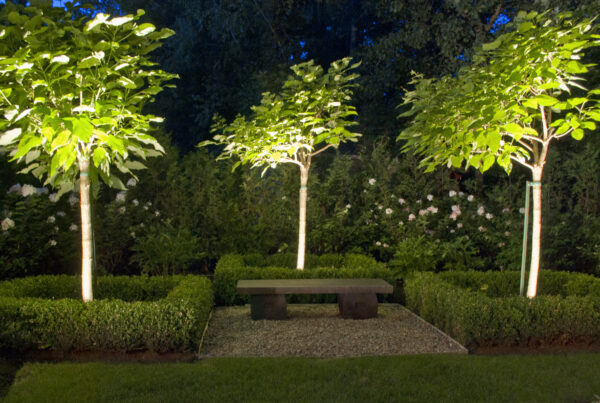 a bench with trees in the middle of a garden