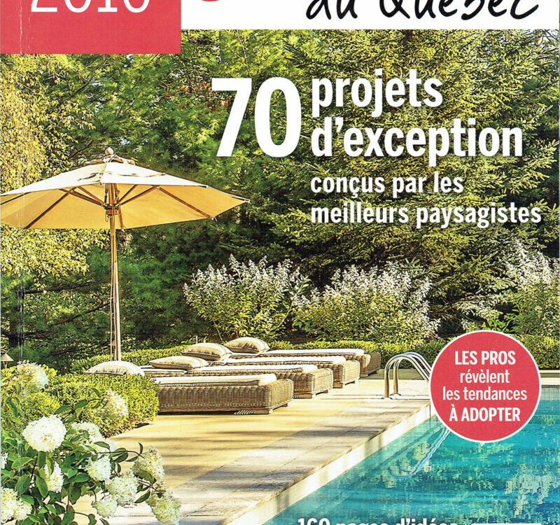 a magazine cover with a pool and a deck chair