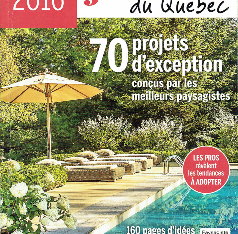 a magazine cover with a pool and a deck chair