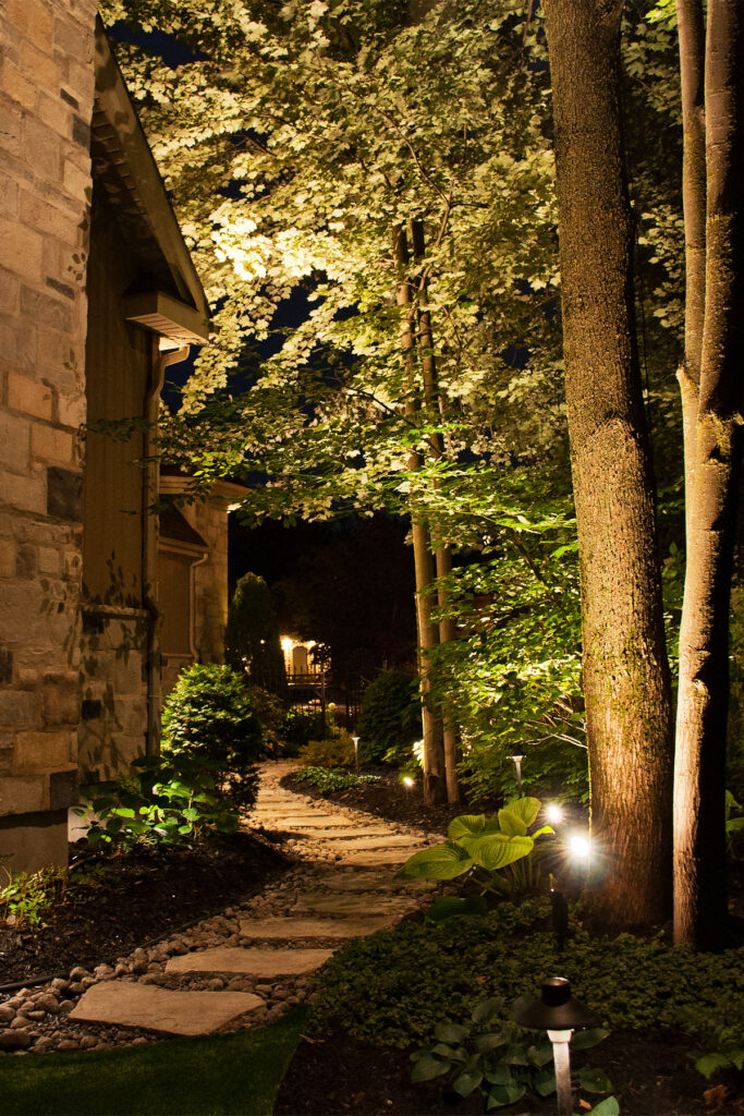 a stone path with trees and plants at night