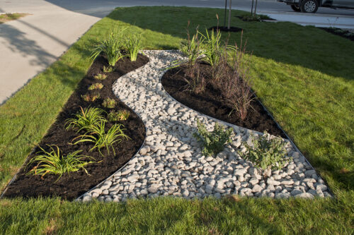 a garden with rocks and plants