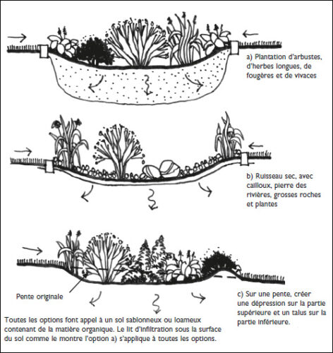 a diagram of a garden