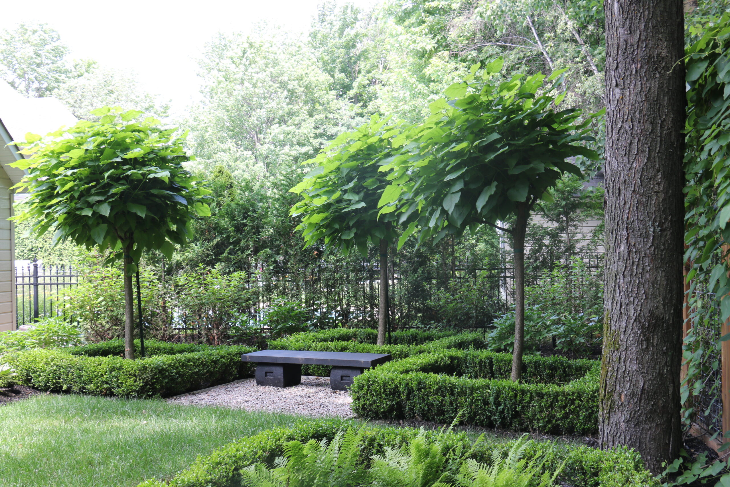 Jardin avec arbres et banc.