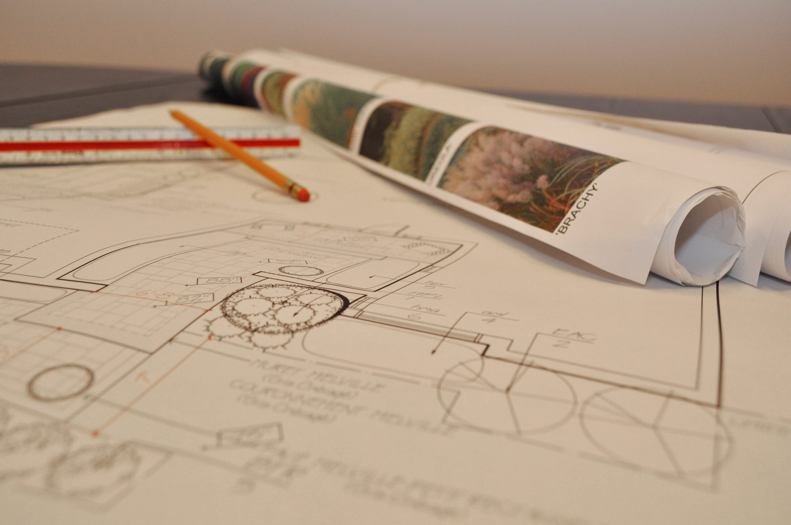 Plans de jardin et outils de dessin