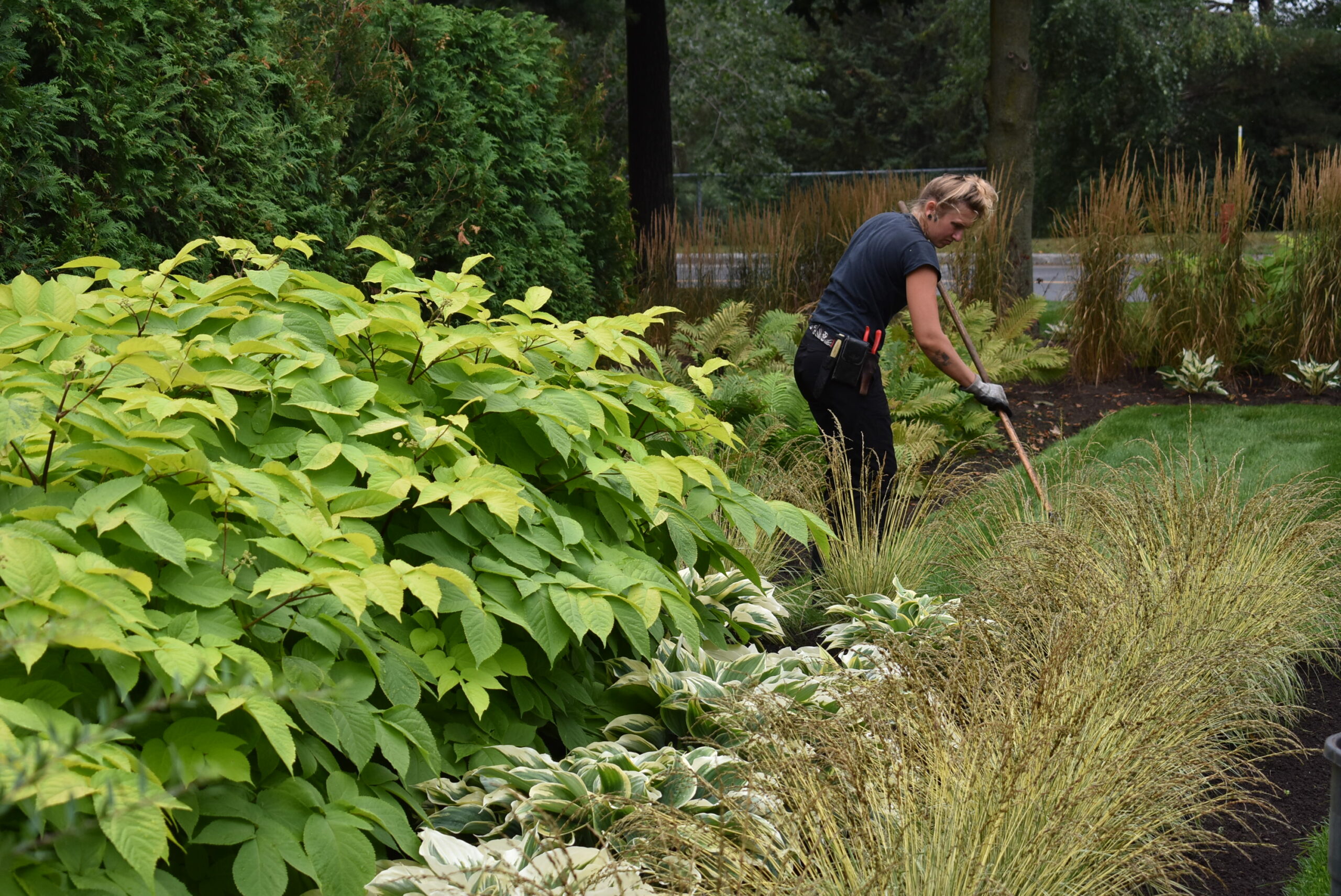 Femme jardinant parmi des plantes vertes.