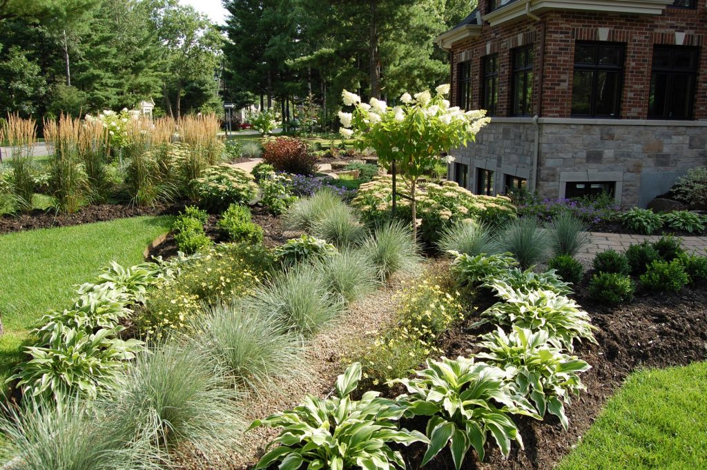 Jardin verdoyant avec fleurs et plantes.