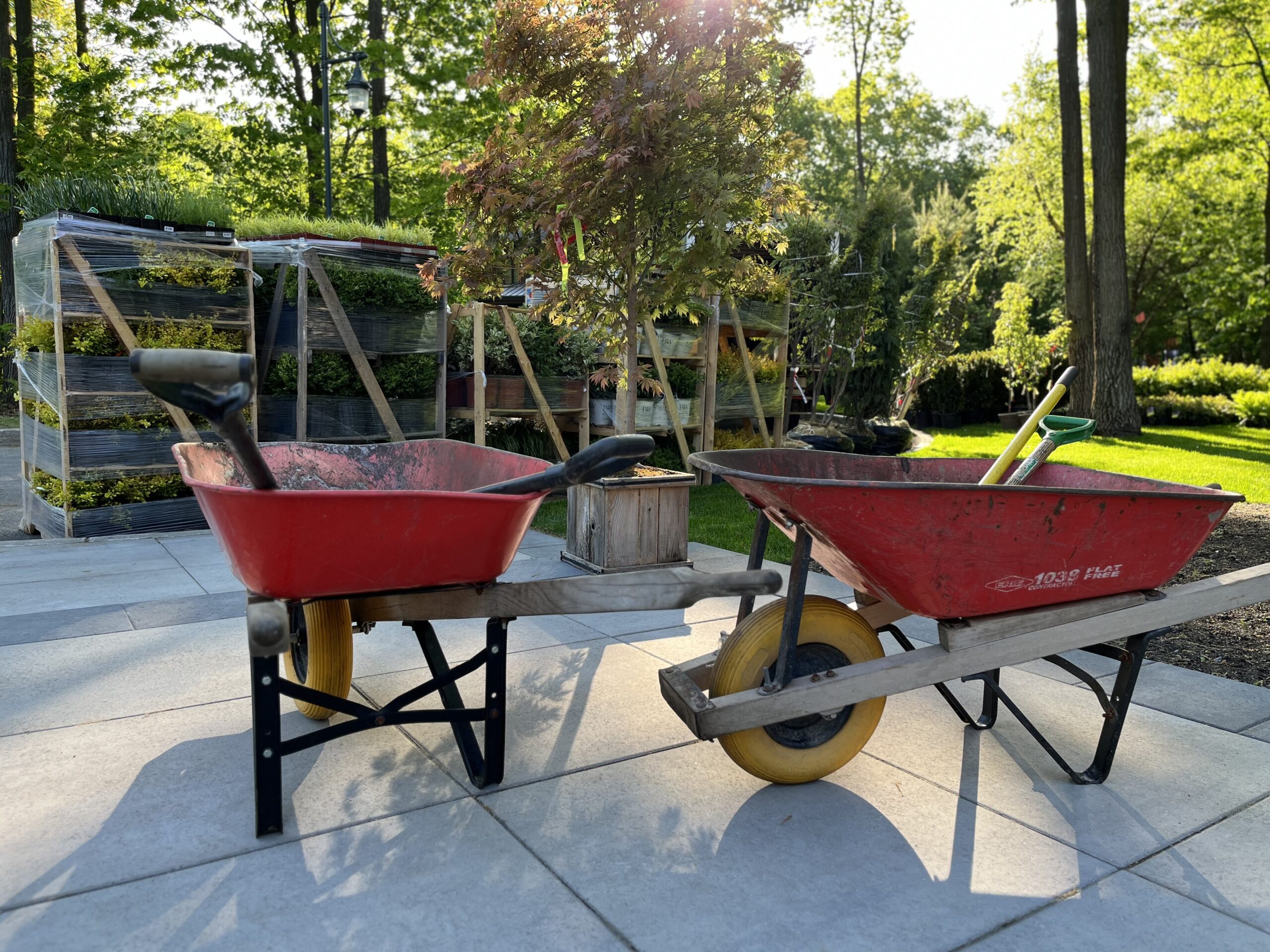 Deux brouettes dans un jardin